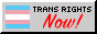 'Trans Rights Now!' Button